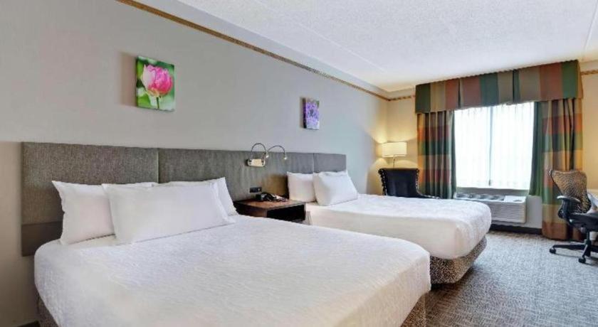 Hilton Garden Inn Appleton/Kimberly Екстериор снимка